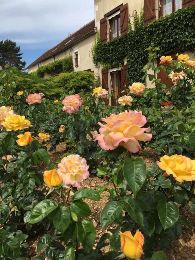 Entre Canal Et Vignes Bed & Breakfast Escolives-Sainte-Camille Bagian luar foto
